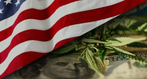 top US marijuana penny stocks to watch right now