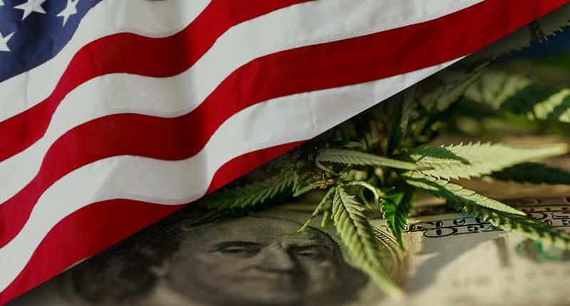 top US marijuana penny stocks to watch right now