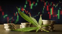 marijuana penny stocks to watch right now