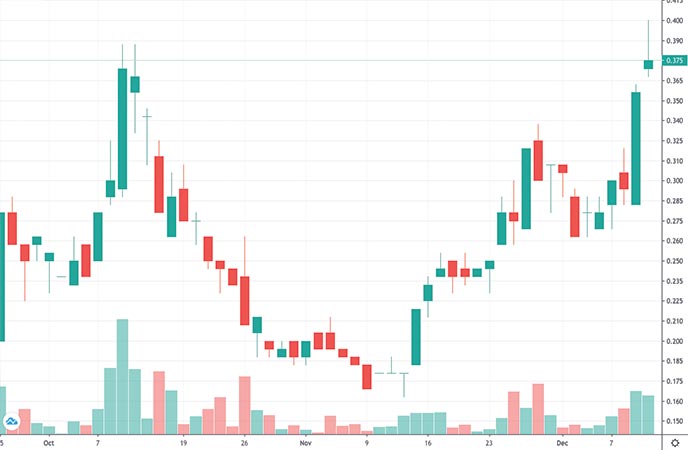 mushroom penny stocks to watch Mydecine Innovations Group Inc. (MYCO stock chart)