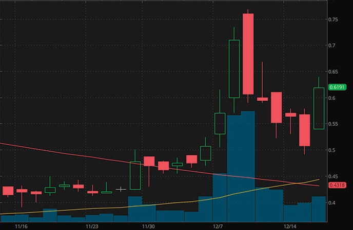 robinhood penny stocks to buy bitcoin stocks TransEnterix Inc. (TRXC stock chart)