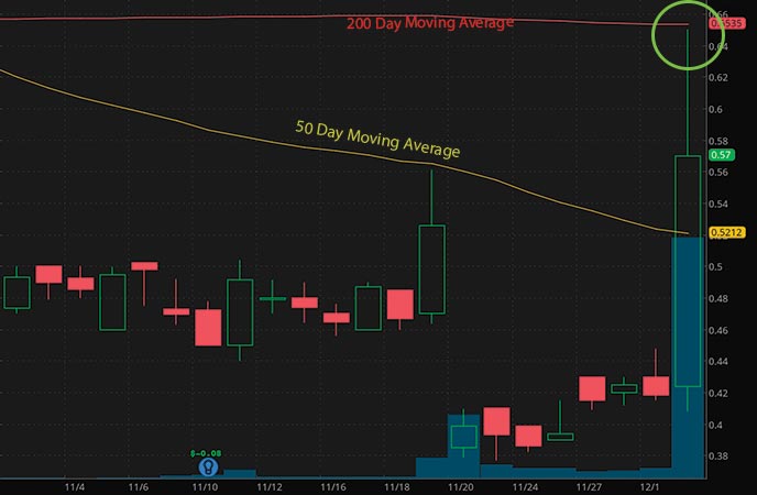robinhood penny stocks to buy under $1 Oragenics (OGEN stock chart)