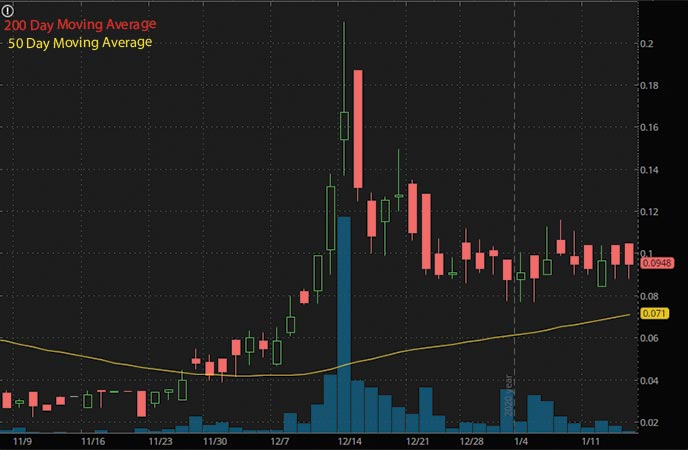 mushroom penny stocks to watch New Wave Holdings Inc. TRMNF stock chart