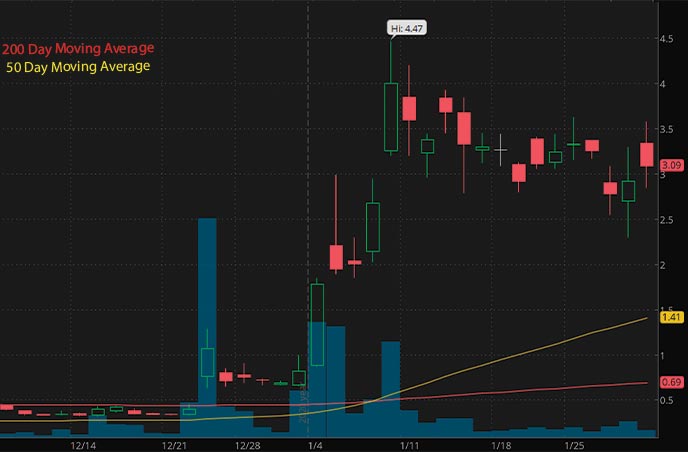 penny stocks to buy biotech Jaguar Helath Inc JAGX stock chart