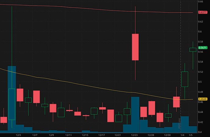 penny stocks to buy on robinhood under $1 Oragenics Inc OGEN stock chart