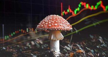 psychedelic mushroom stocks to watch this year