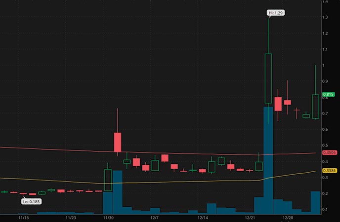 robinhood penny stocks to buy under $1 Jaguar Health Inc JAGX stock chart