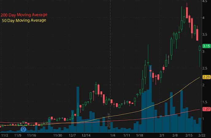 biotech penny stocks to watch march 2021 Seelos Therapeutics SEEL stock chart