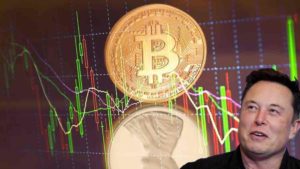 bitcoin penny stocks elon musk tesla