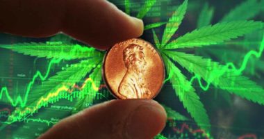 hot marijuana penny stocks to buy right now