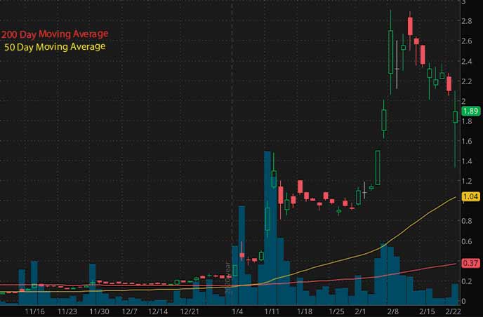 robinhood penny stocks to watch Zomedica Corp. ZOM stock chart
