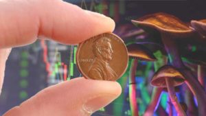 best psychedelic penny stocks to watch right now