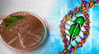 biotech penny stocks on robinhood to buy or avoid dna