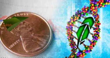biotech penny stocks on robinhood to buy or avoid dna