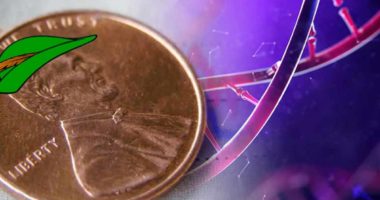penny stocks on robinhood biotech stocks to buy
