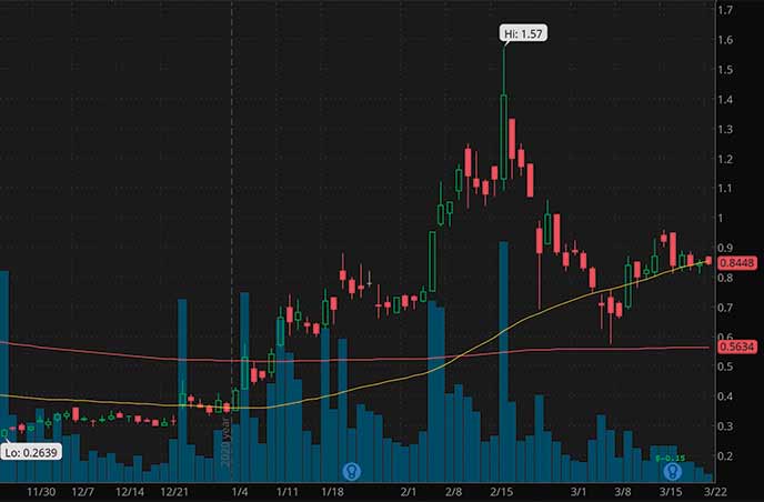 penny stocks on robinhood to buy under $1 Advaxin Inc. ADXS stock chart