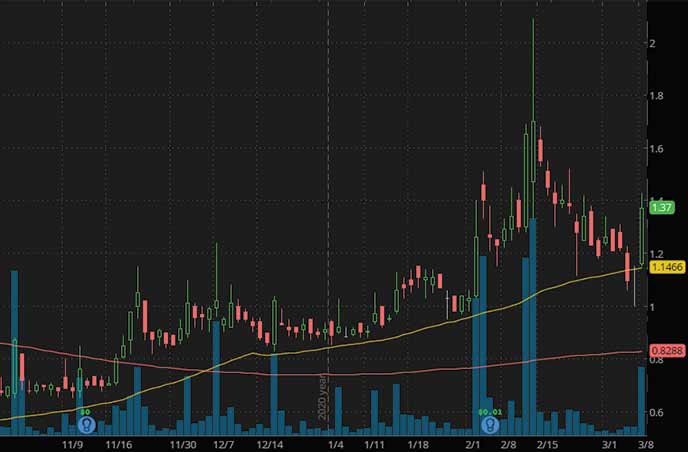 penny stocks to buy under $4 Rave Restaurant Group RAVE stock chart