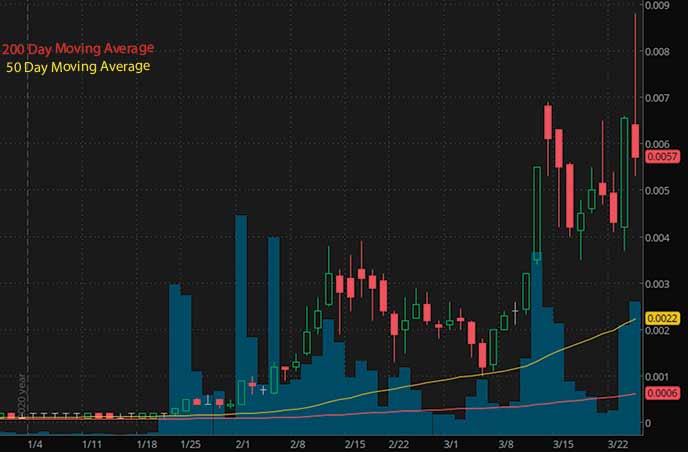 penny stocks under 0.01 Amazonas Florestal Ltd AZFL stock chart