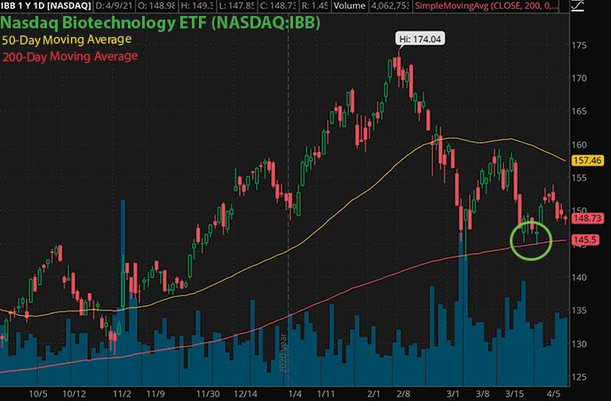 penny stocks to watch trading Nasdaq Biotech ETF IBB stock chart