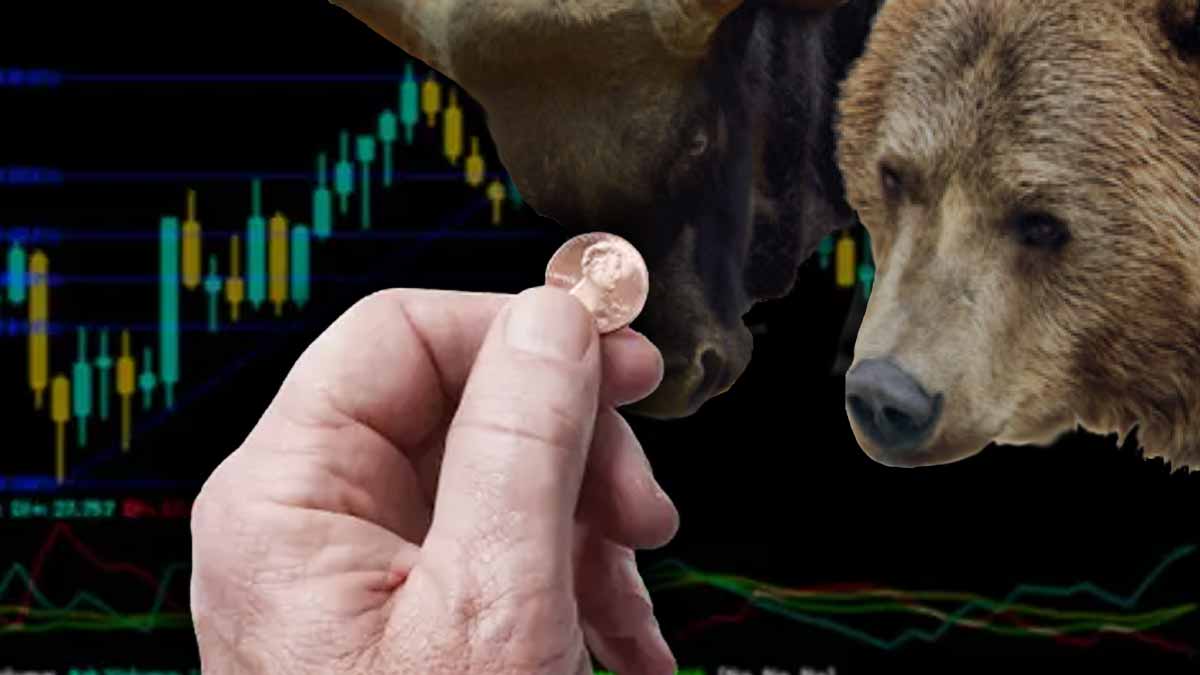 top penny stocks today bull bear coin chart