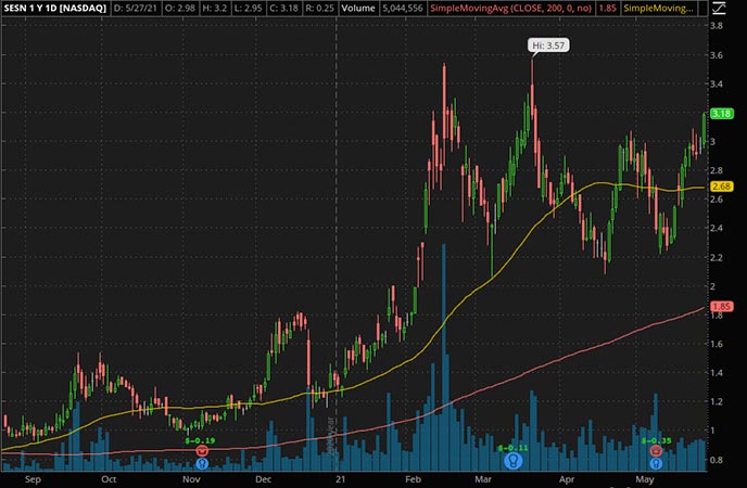 Penny_Stocks_to_Watch_Sesen Bio Inc. (SESN Stock Chart)