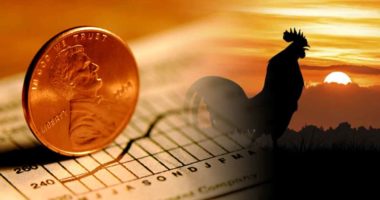 pre market gaining penny stocks