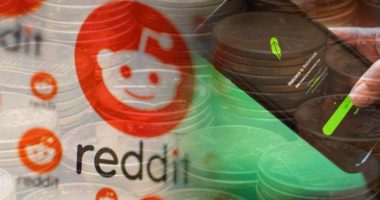 penny stocks on reddit and robinhood