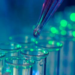 what to look for biotech stocks
