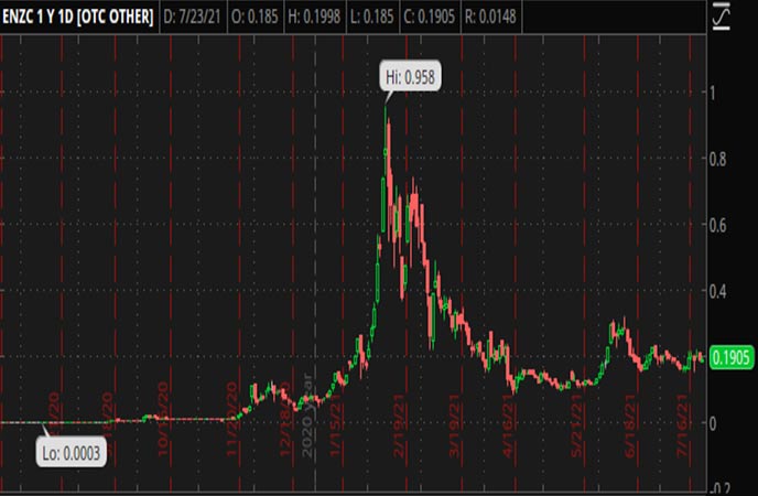 Penny_Stocks_to_Watch_Enzolytics_Inc._(ENZC_Stock_Chart)