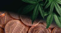 marijuana penny stocks to buy marijuana legalization