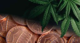 marijuana penny stocks to buy marijuana legalization