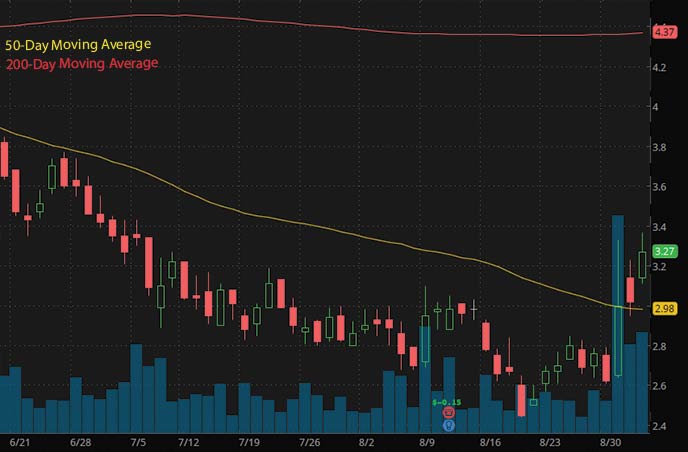 robinhood penny stocks to buy Evogene Ltd. EVGN stock chart