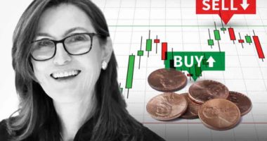 cathie wood penny stocks to buy