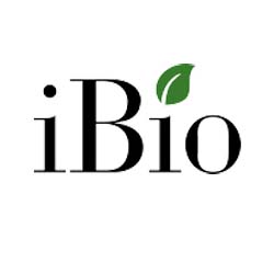 iBIO Stock