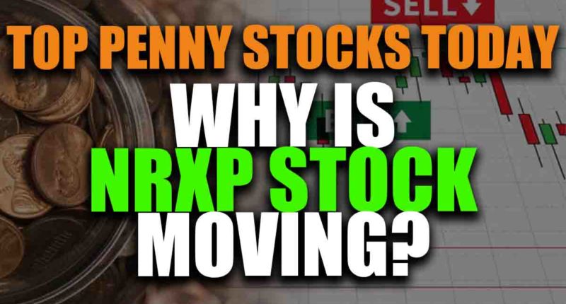top penny stocks today NRx Pharmaceuticals NRXP stock moving