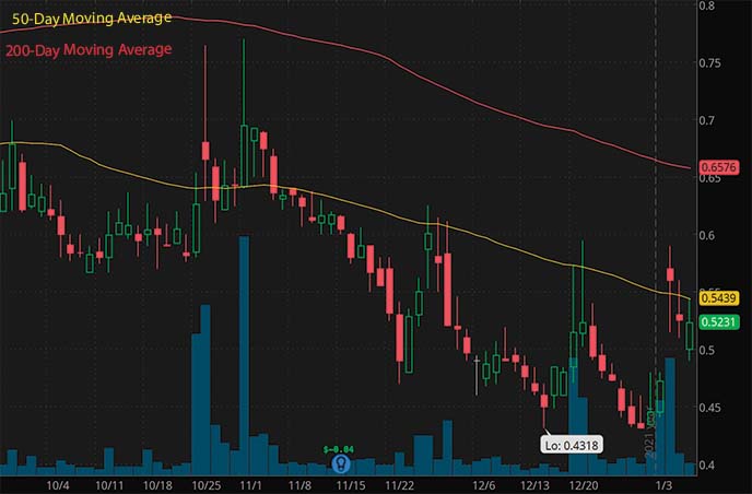 Best penny to buy on the Oragenics OGEN stock chart for insider trading