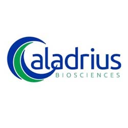 best penny stocks to buy under 2 Caladrius Biosciences CLBS stock