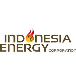 best penny stocks to buy Indonesia Energy INDO stock