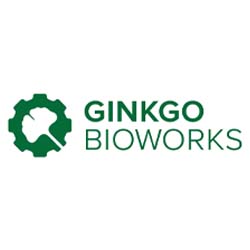 best penny stocks to buy Ginkgo Bioworks DNA stock
