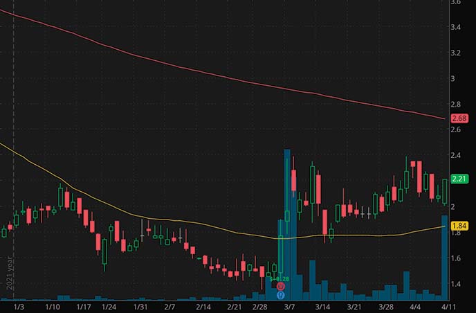 5 Top Penny Stocks Doing Better Than Dogecoin Even After Musk Tweet