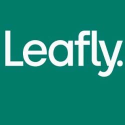 penny stocks to buy Leafly LFLY stock