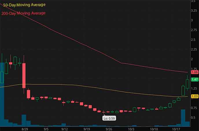 penny stocks to buy insider buying Caba Bio Inc. CABA stock chart