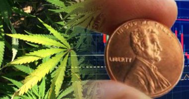 marijuana penny stocks