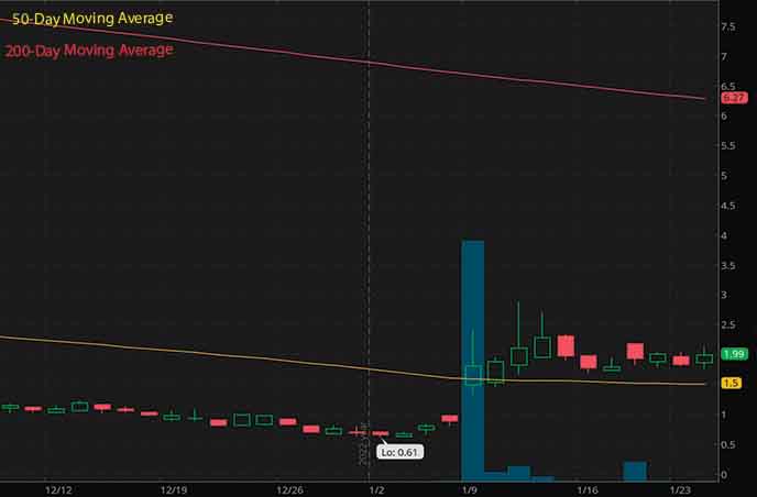penny stocks to buy now Apexigen Inc APGN stock chart