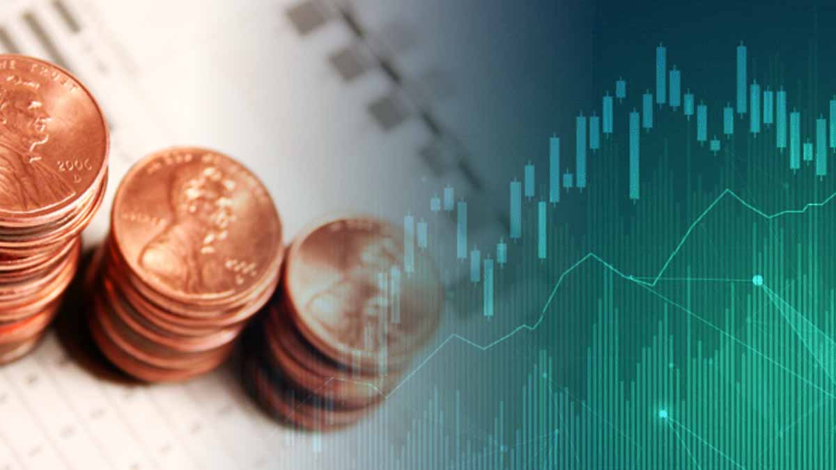 Should You Invest in Established or New Penny Stocks?