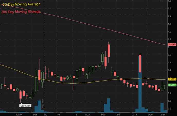 penny stocks under $1 to buy TransCode Therapeutics RNAZ stock chart